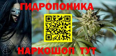 крисы Бузулук