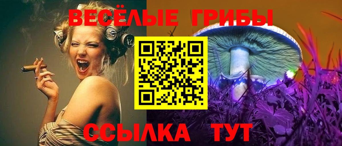 Сафоново  Псилоцибиновые грибы ЛСД  Вход с VPN 