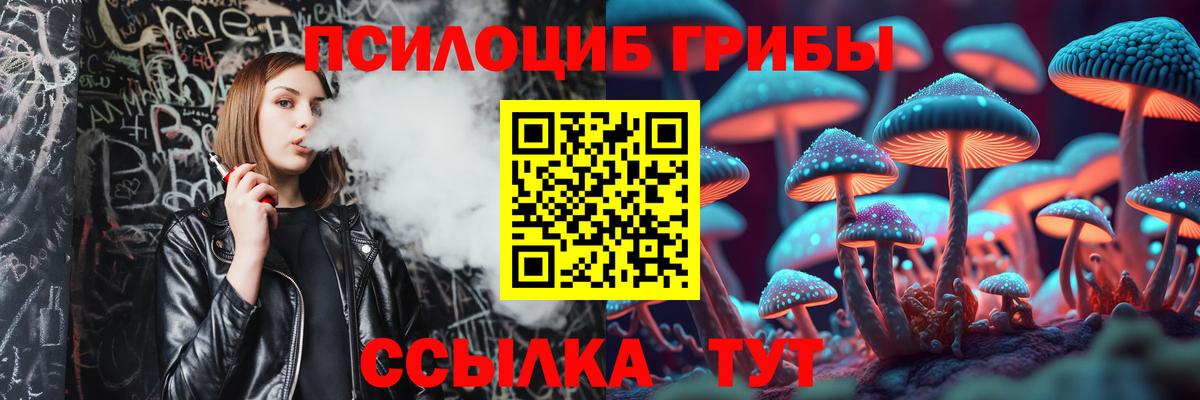 Галлюциногенные грибы GOLDEN TEACHER Сафоново